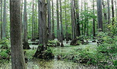 river to river trail